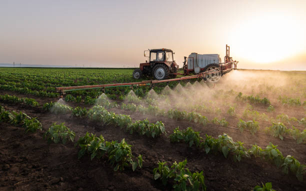 Best Pest Removal Services  in Tubac, AZ